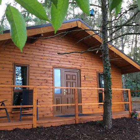 Butterfly cabin Limerick Junction Esterno foto