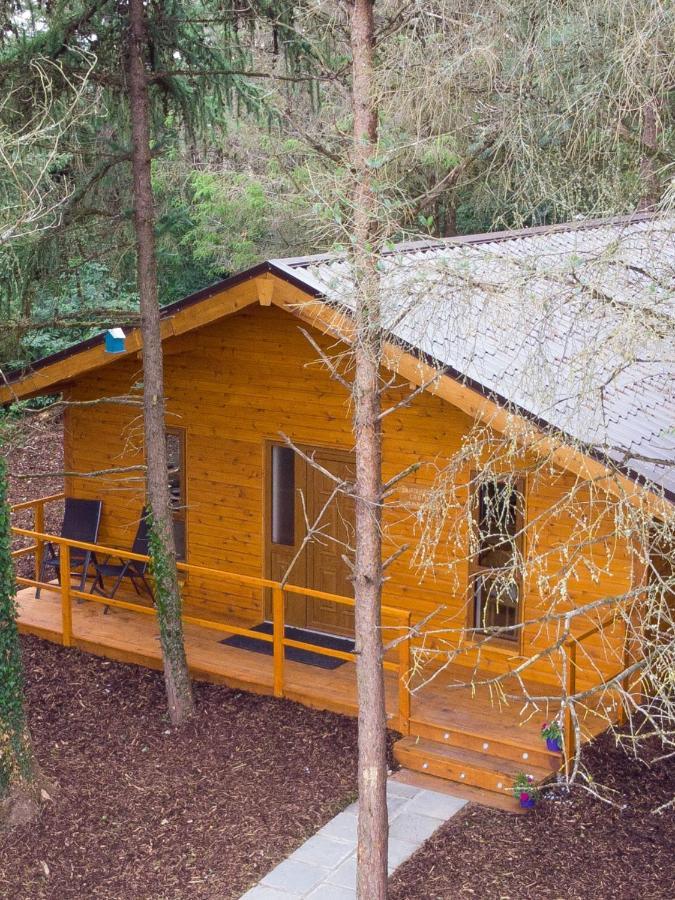 Butterfly cabin Limerick Junction Esterno foto