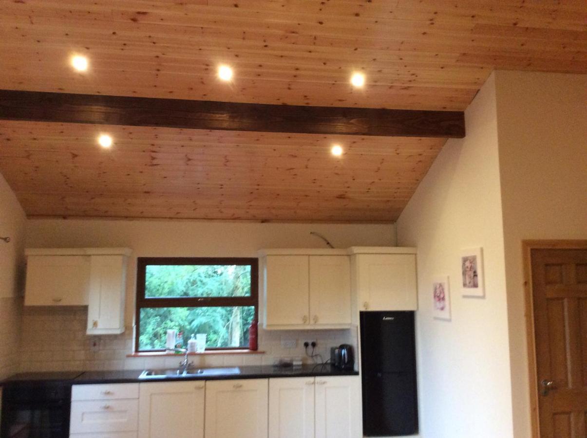Butterfly cabin Limerick Junction Esterno foto