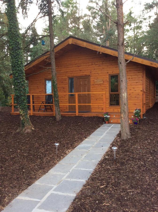 Butterfly cabin Limerick Junction Esterno foto