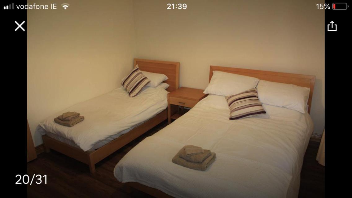 Butterfly cabin Limerick Junction Esterno foto