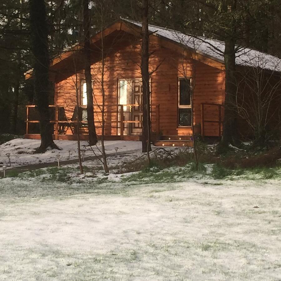 Butterfly cabin Limerick Junction Esterno foto